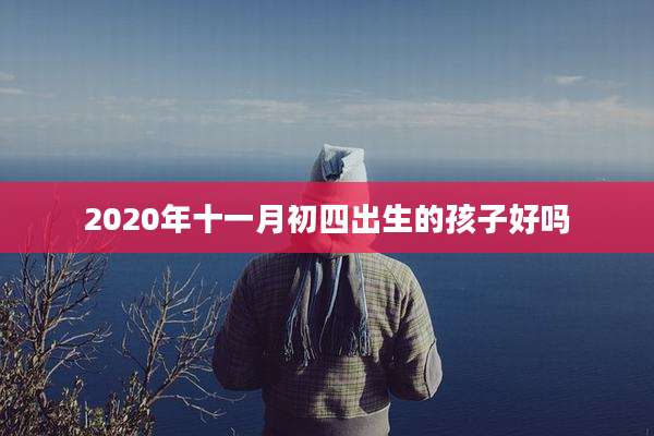 2020年十一月初四出生的孩子好吗