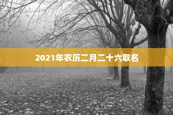 2021年农历二月二十六取名