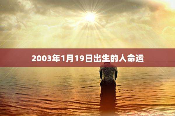 2003年1月19日出生的人命运