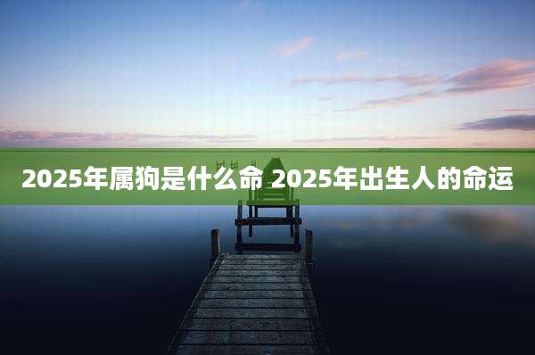 2025年属狗是什么命 2025年出生人的命运