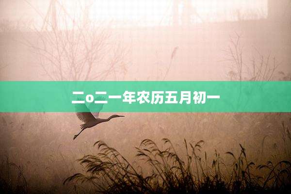 二o二一年农历五月初一