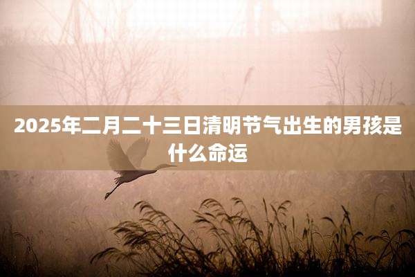 2025年二月二十三日清明节气出生的男孩是什么命运