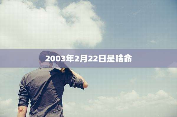 2003年2月22日是啥命