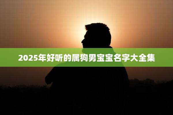 2025年好听的属狗男宝宝名字大全集