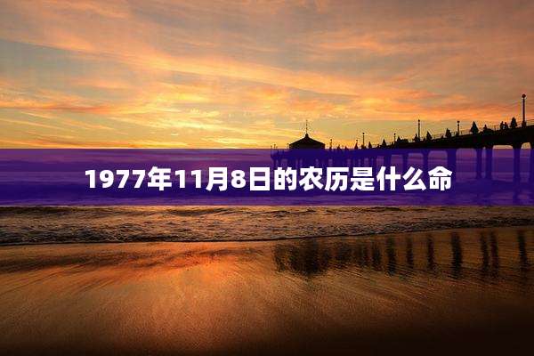 1977年11月8日的农历是什么命