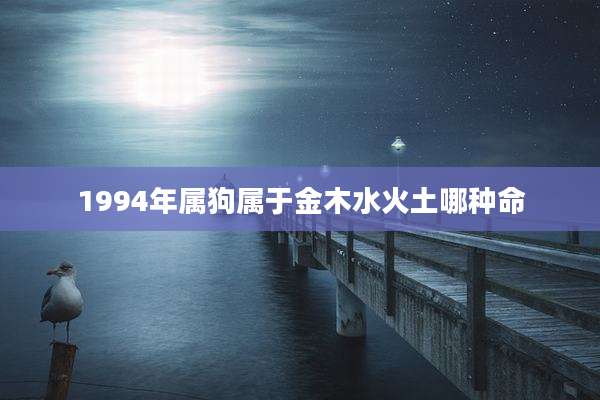 1994年属狗属于金木水火土哪种命