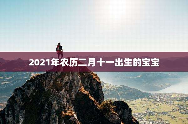 2021年农历二月十一出生的宝宝