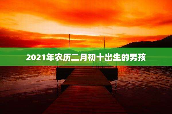 2021年农历二月初十出生的男孩