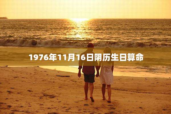 1976年11月16日阴历生日算命