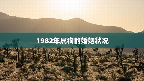 1982年属狗的婚姻状况