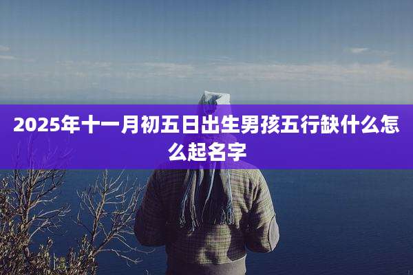 2025年十一月初五日出生男孩五行缺什么怎么起名字