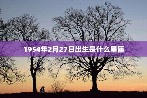 1954年2月27日出生是什么星座