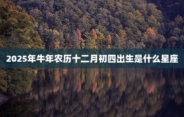 2025年牛年农历十二月初四出生是什么星座