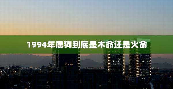 1994年属狗到底是木命还是火命