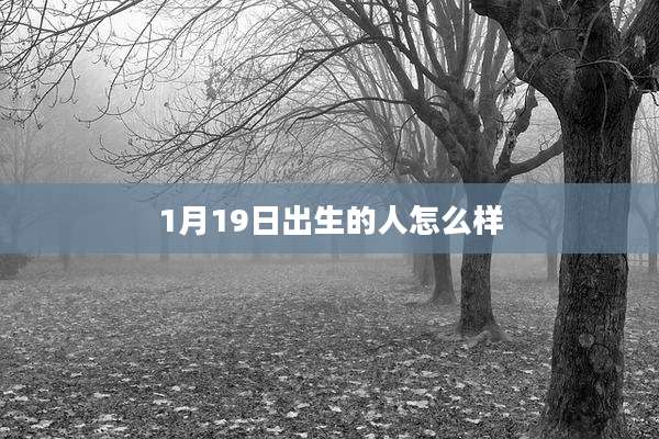 1月19日出生的人怎么样