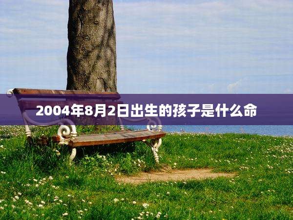 2004年8月2日出生的孩子是什么命