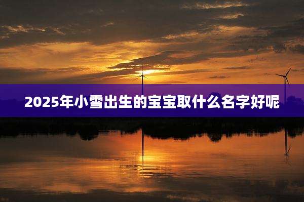 2025年小雪出生的宝宝取什么名字好呢
