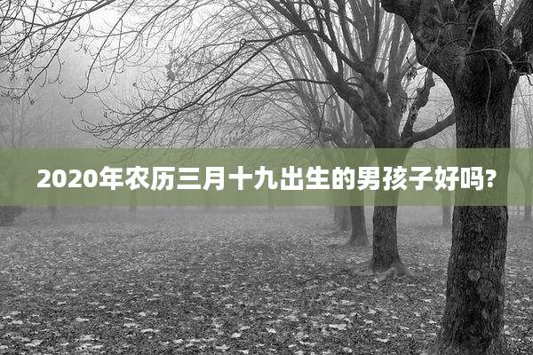 2020年农历三月十九出生的男孩子好吗?