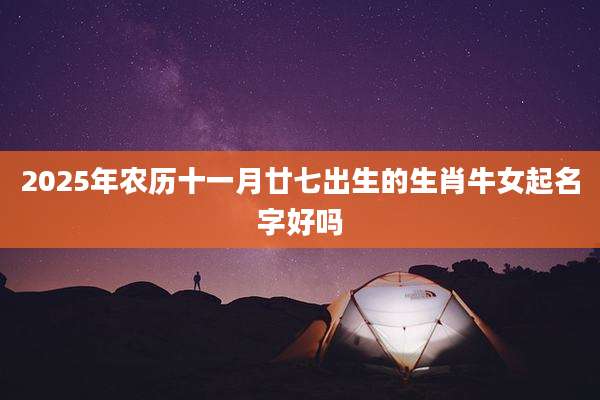 2025年农历十一月廿七出生的生肖牛女起名字好吗