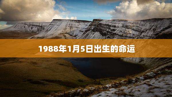 1988年1月5日出生的命运