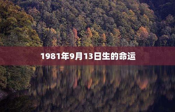 1981年9月13日生的命运