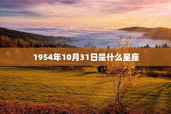 1954年10月31日是什么星座