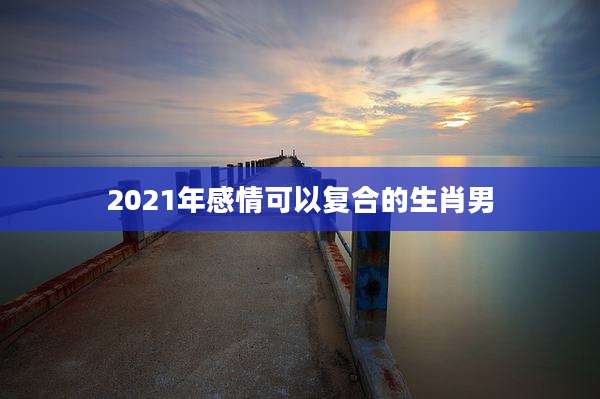 2021年感情可以复合的生肖男