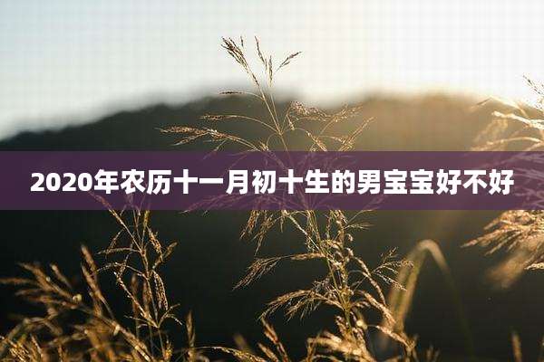 2020年农历十一月初十生的男宝宝好不好