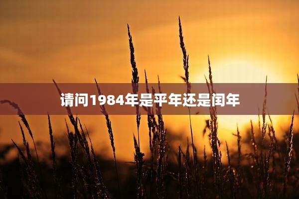 请问1984年是平年还是闰年