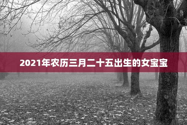 2021年农历三月二十五出生的女宝宝