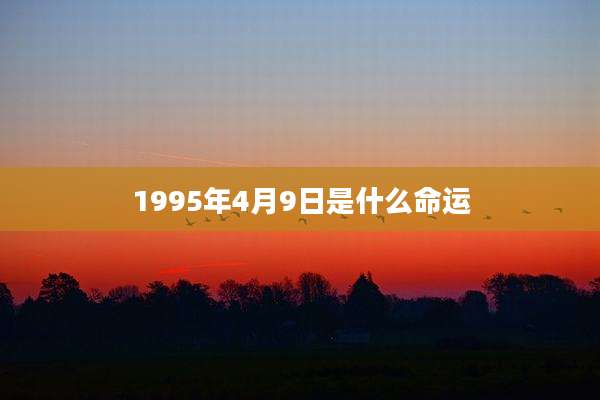 1995年4月9日是什么命运