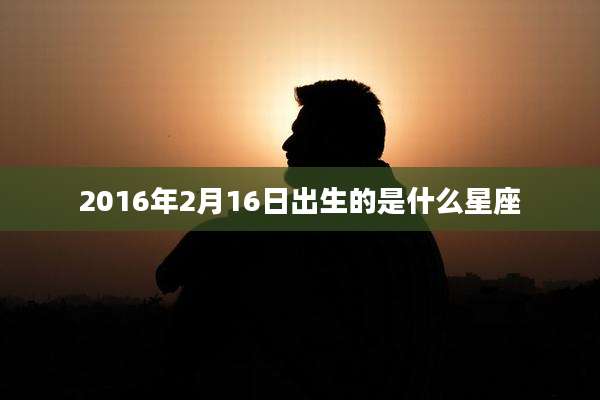 2016年2月16日出生的是什么星座