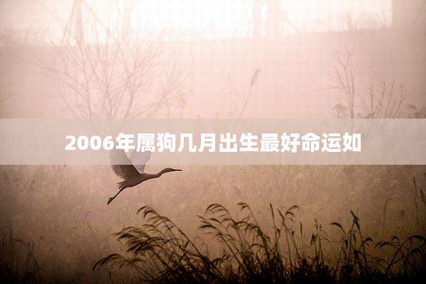 2006年属狗几月出生最好命运如