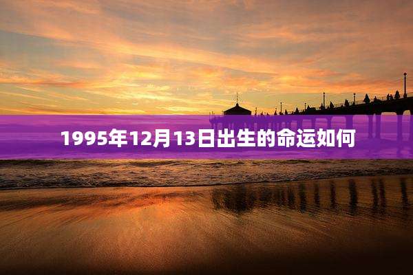 1995年12月13日出生的命运如何