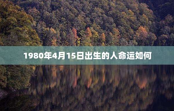 1980年4月15日出生的人命运如何
