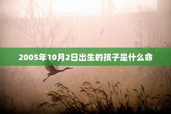 2005年10月2日出生的孩子是什么命
