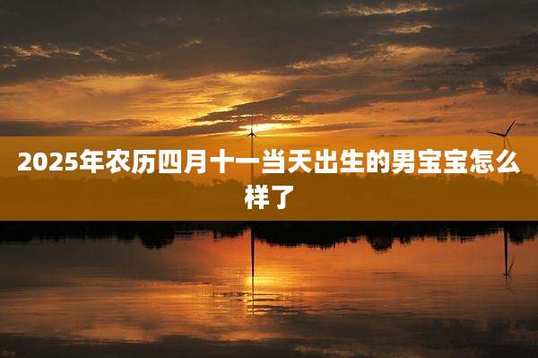 2025年农历四月十一当天出生的男宝宝怎么样了