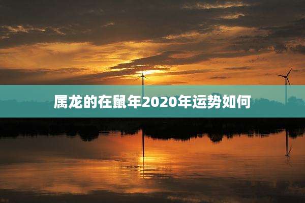 属龙的在鼠年2020年运势如何