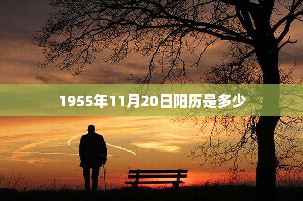 1955年11月20日阳历是多少