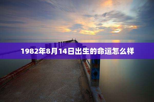 1982年8月14日出生的命运怎么样
