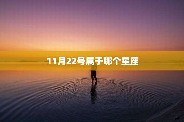 11月22号属于哪个星座