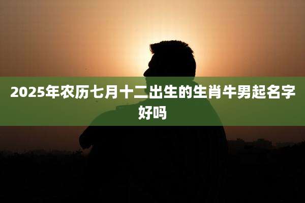 2025年农历七月十二出生的生肖牛男起名字好吗