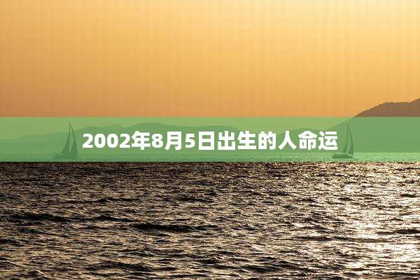 2002年8月5日出生的人命运
