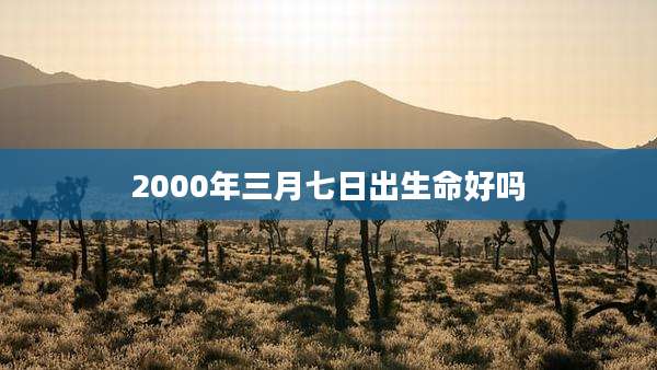2000年三月七日出生命好吗