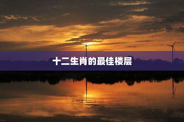 十二生肖的最佳楼层