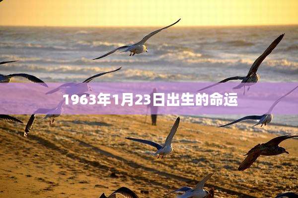 1963年1月23日出生的命运