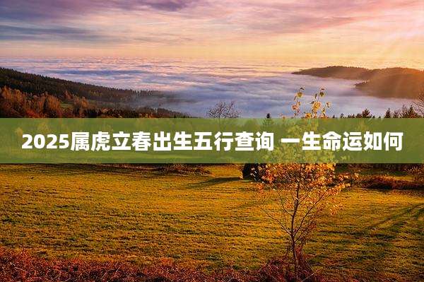 2025属虎立春出生五行查询 一生命运如何