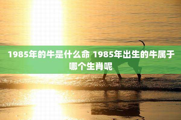 1985年的牛是什么命 1985年出生的牛属于哪个生肖呢