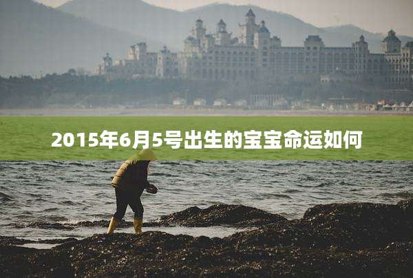 2015年6月5号出生的宝宝命运如何