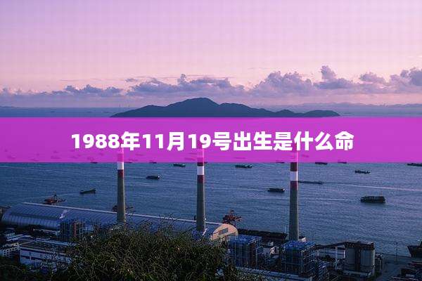 1988年11月19号出生是什么命